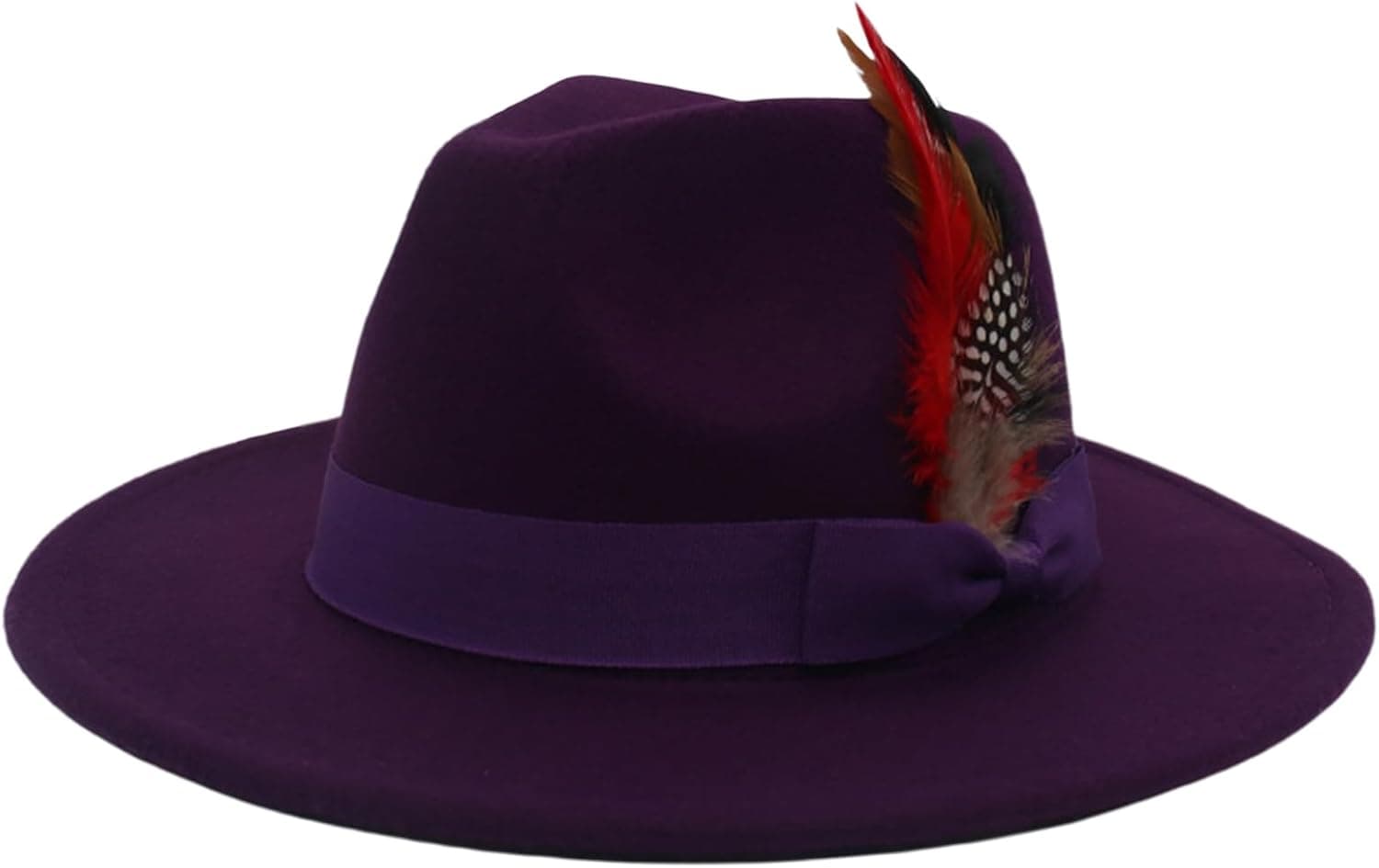 Dark-purple feather wide-brim fedora